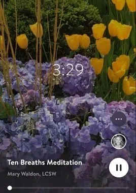 اپلیکیشن تناسب اندام برای اپل واچ