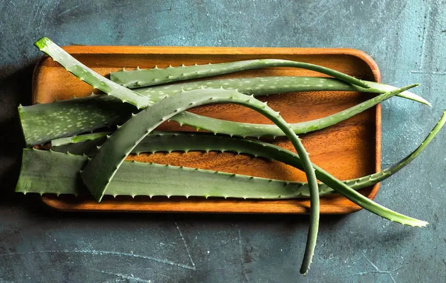 نحوه مصرف ژل آلوئه ورا