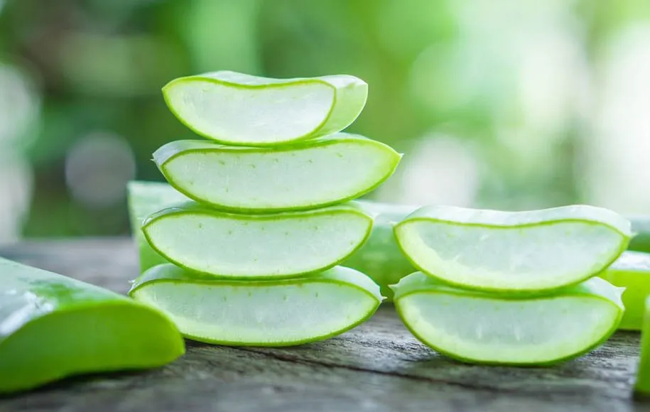 فواید ژل آلوئه ورا