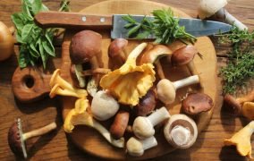 آشنایی با انواع قارچ خوراکی و ترفندهایی برای خرید قارچ سالم