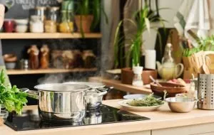 اجاق برقی یا اجاق گاز؟