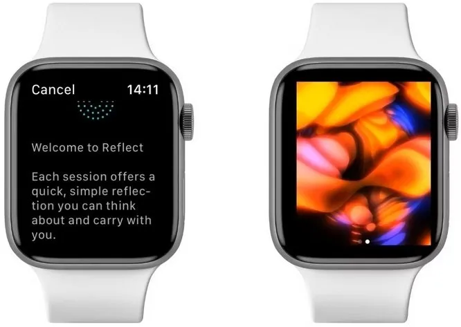 اپلیکیشن تناسب اندام اپل واچ