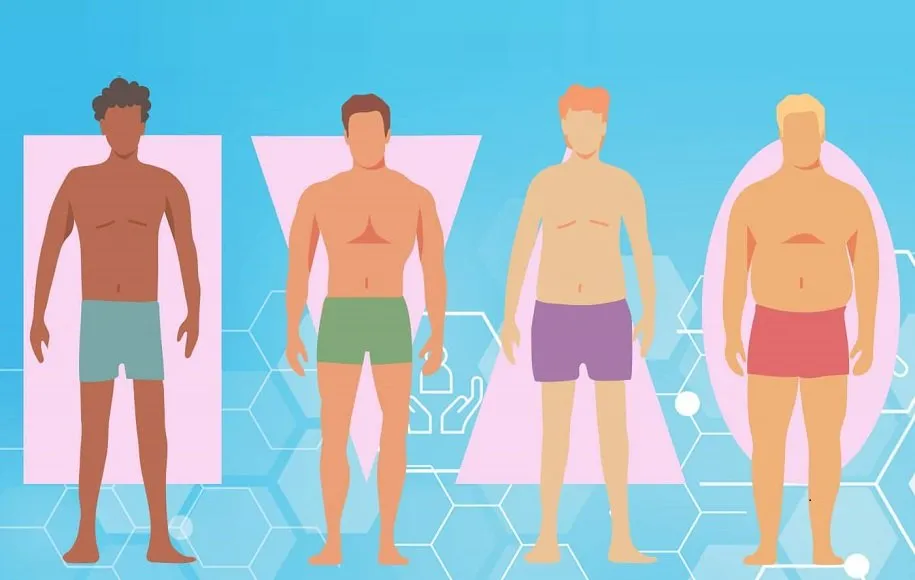 گروه بدنی یا سوماتیپ چیست؟