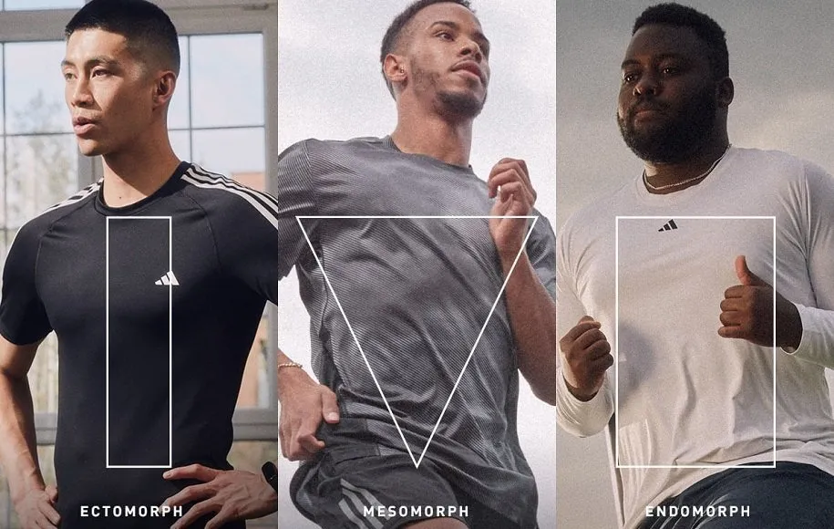 گروه بدنی اندومورف