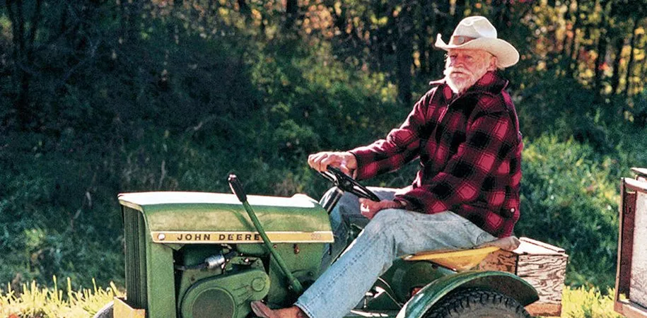 داستان استریت، فیلم و سریال برتر دیوید لینچ