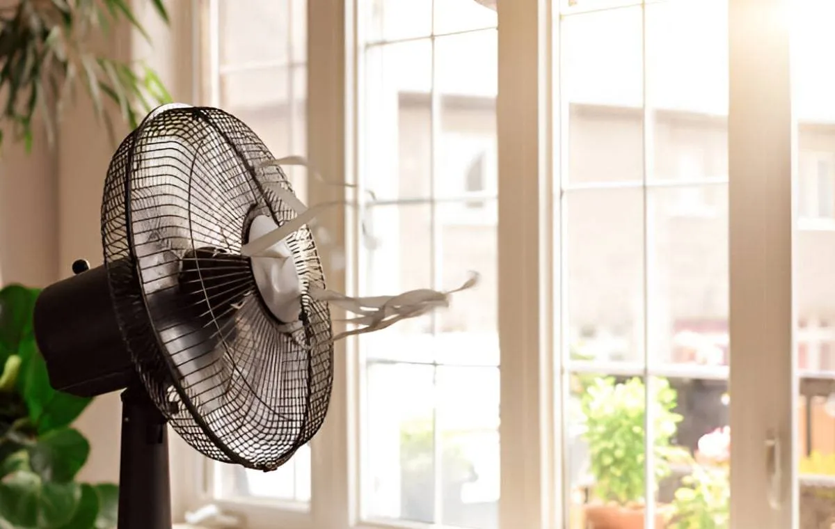 10 پنکه محبوب و پرفروش در دیجی‌کالا (بهار 1404)