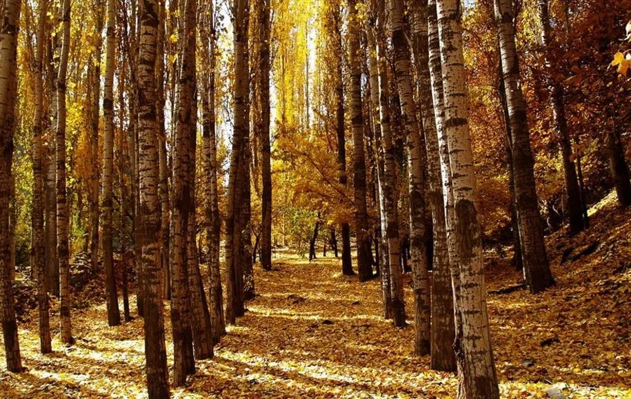 روستای کردینه و جاغرق مشهد، مسیری زیبا برای کوهنوردی