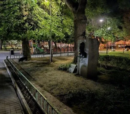 گلکسی زد فولد 5