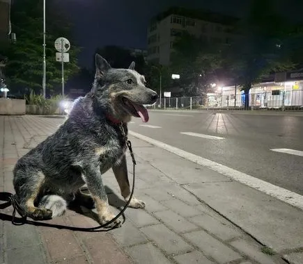 گلکسی زد فولد 5