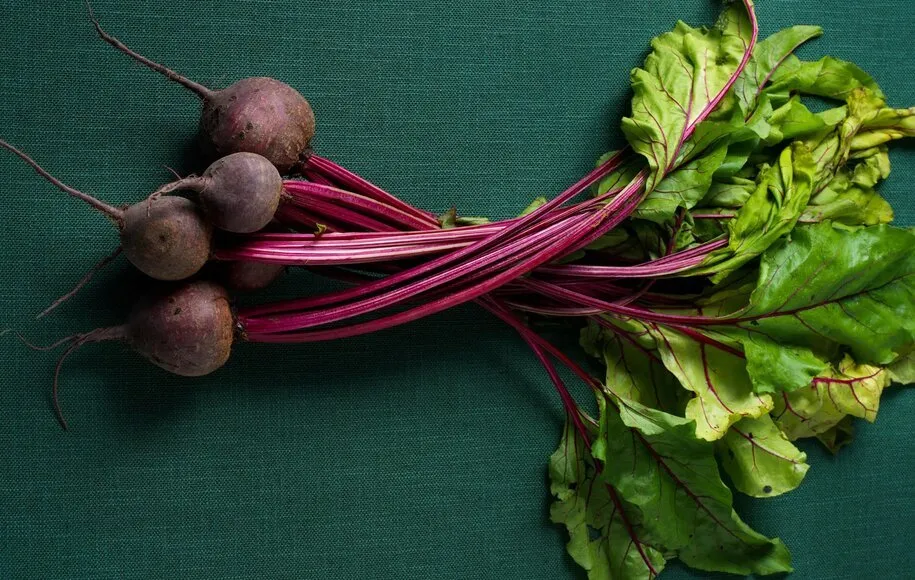 تغذیه دانش‌آموزان با چغندر