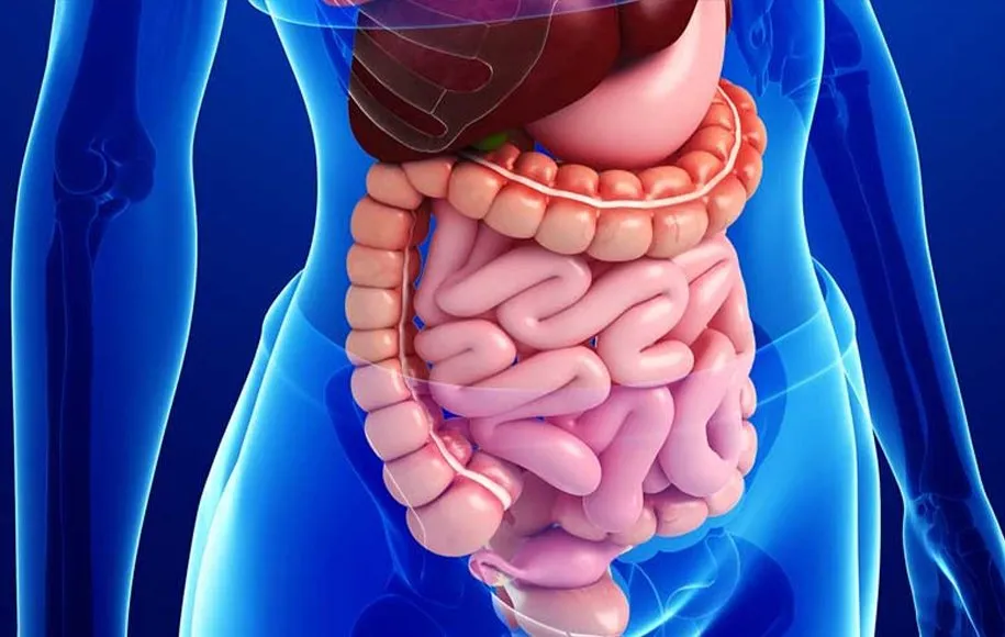 خواص کشک در بدنسازی