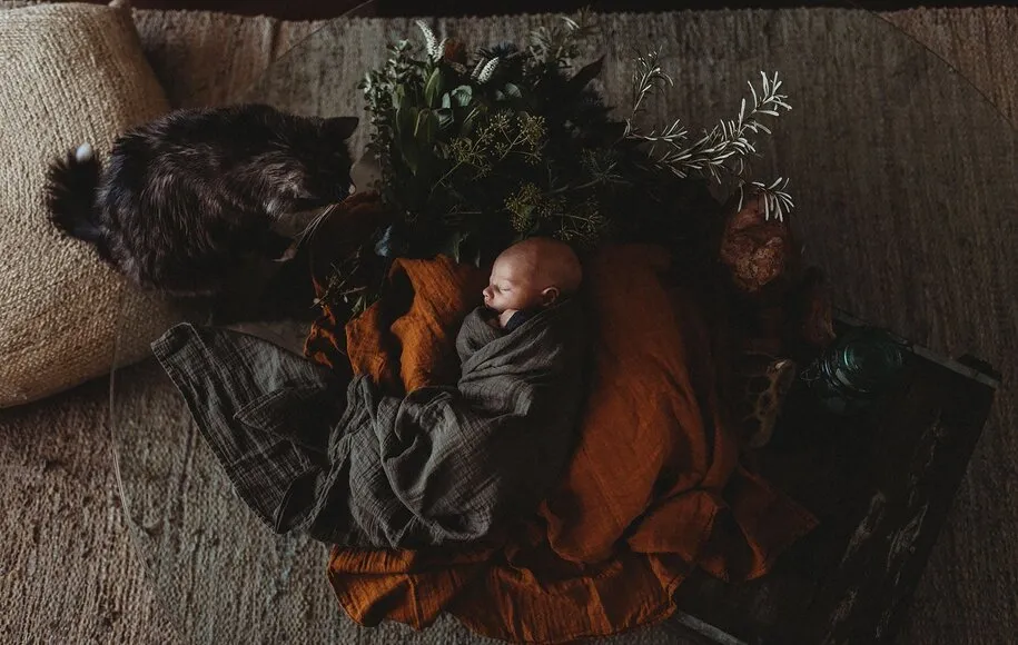 عکاسی نوزاد