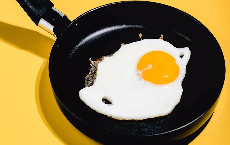 تغذیه دانش‌آموزان با تخم مرغ