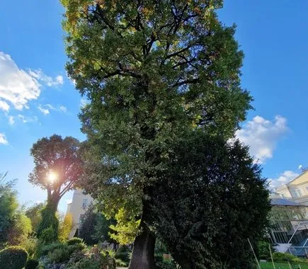 گلکسی S22 اولترا