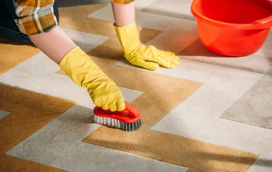 جمع کردن مو از فرش و موکت با چند تکنیک ساده و کاربردی