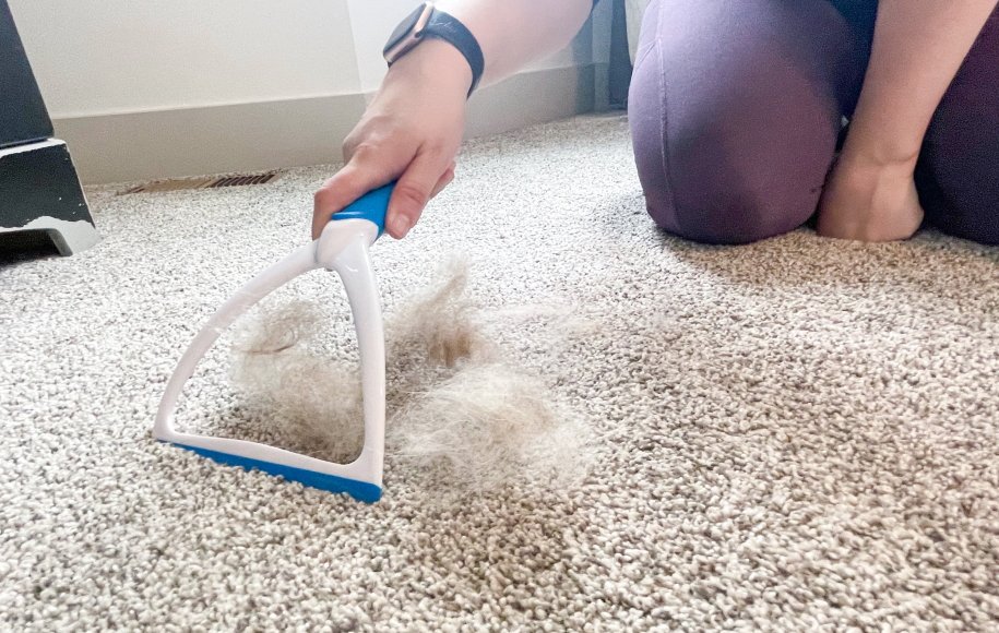 چگونه موهای روی موکت و فرش را جمع کنیم؟