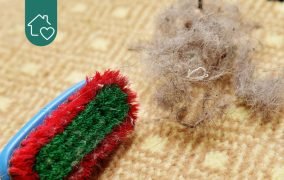 روش‌های سریع و موثر برای جمع کردن موها از روی فرش و موکت