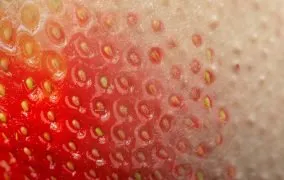 پاهای توت فرنگی