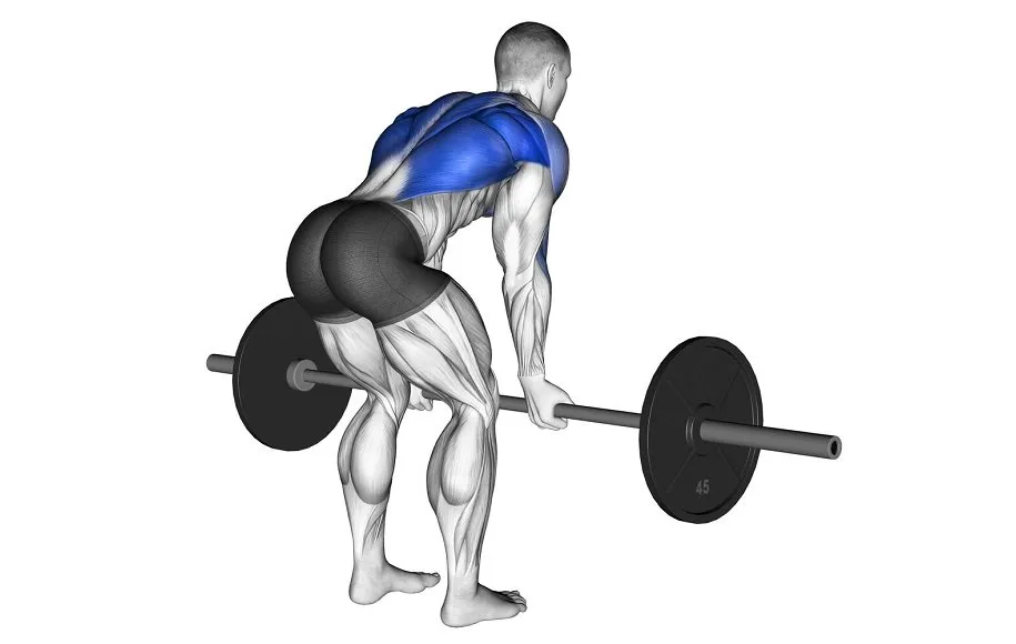 زیربغل هالتر خم دست‌باز