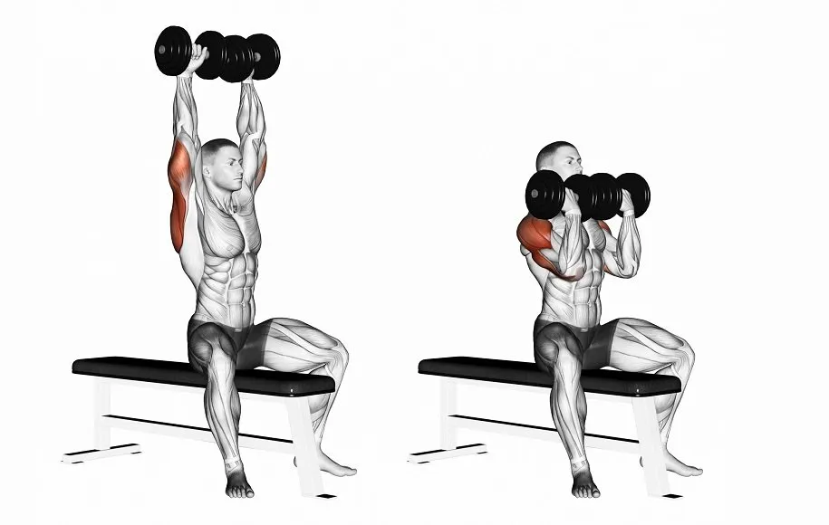 پرس سرشانه آرنولدی