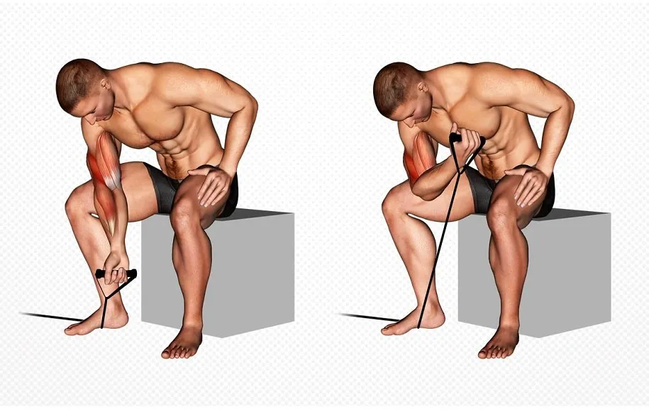 جلو بازو تمرکزی