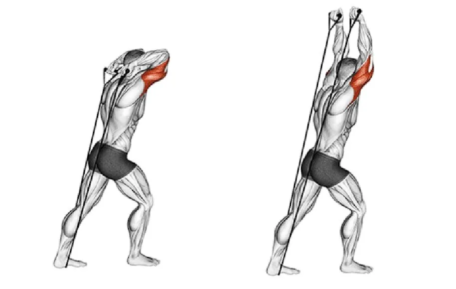 پشت بازو از بالای سر