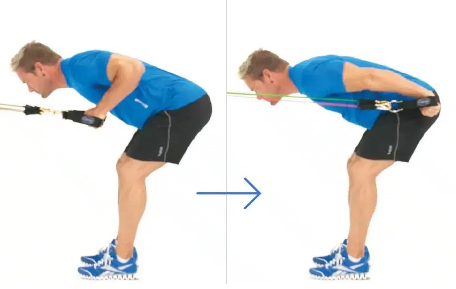 پشت بازو خم