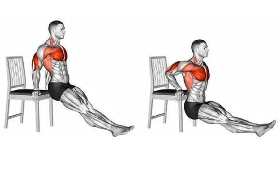 دیپ پشت بازو