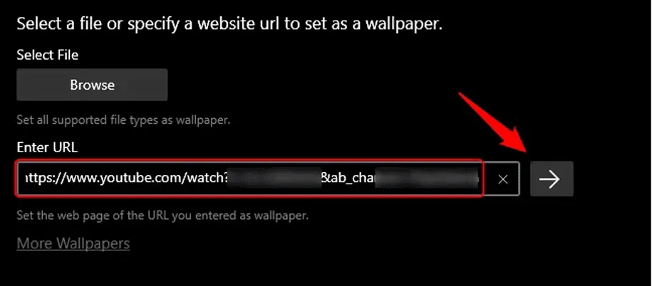 سرچ ویدیو در Lively Wallpaper