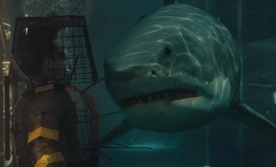 فیلم درباره کوسهها