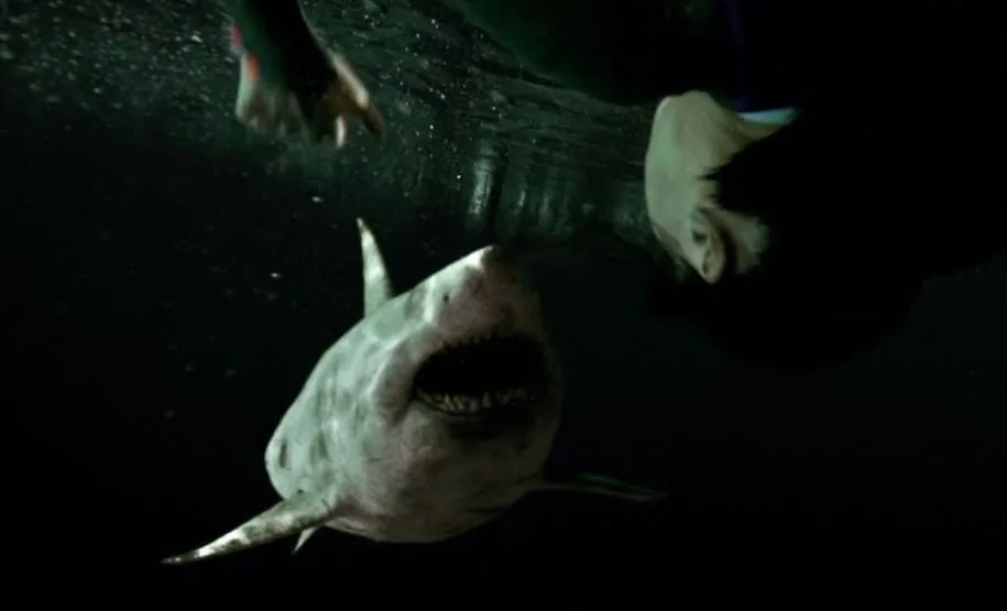 فیلم درباره کوسهها