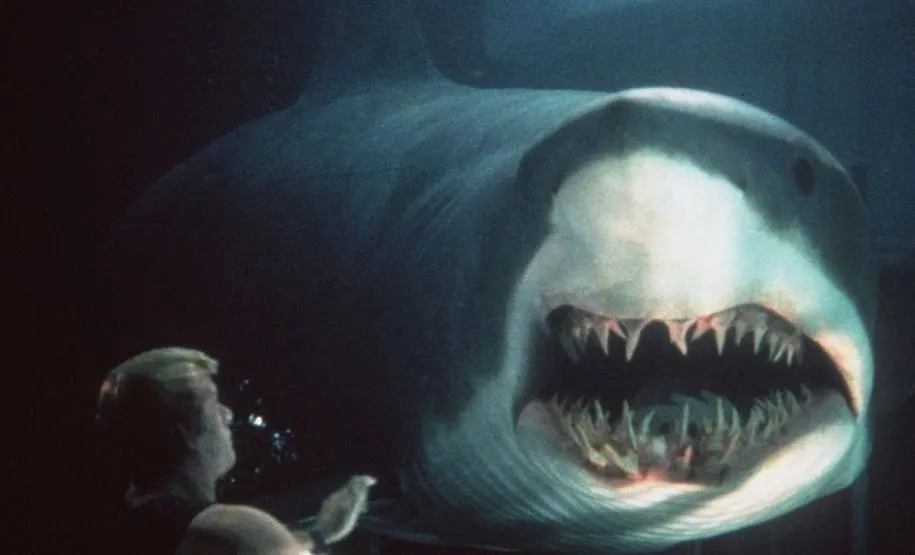 دریای آبی عمیق ساختهی رنی هارلین