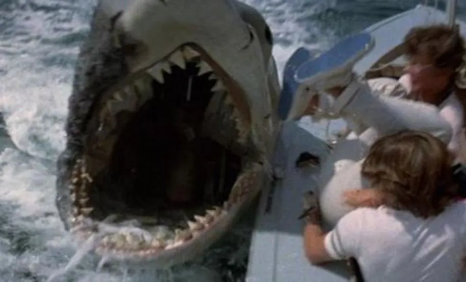 فیلم درباره کوسهها