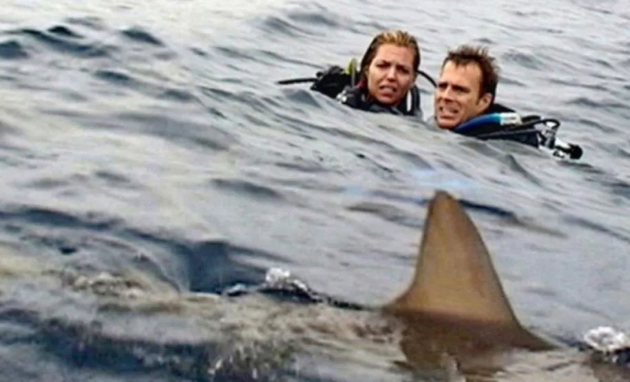 آبهای آزاد ساختهی کریس کنتیس