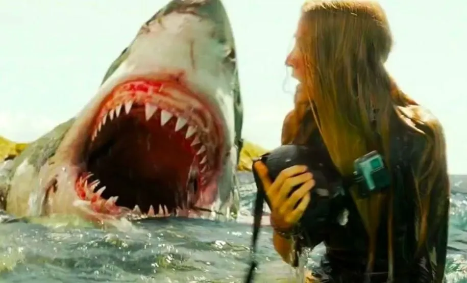 فیلم درباره کوسهها