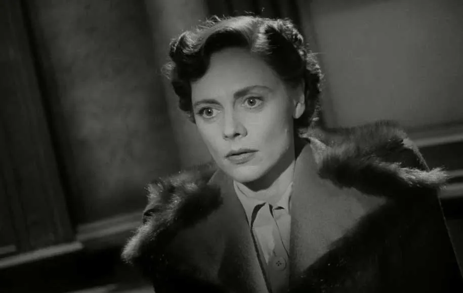 برخورد کوتاه