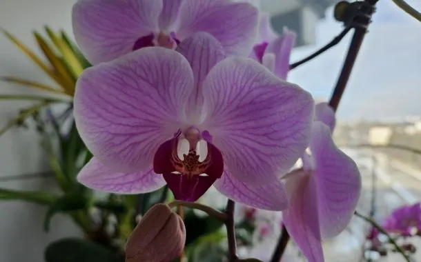 گلکسی S23 در مقابل شیائومی 13