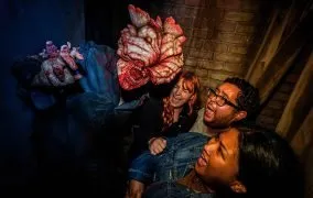 شهربازی لست آو آس