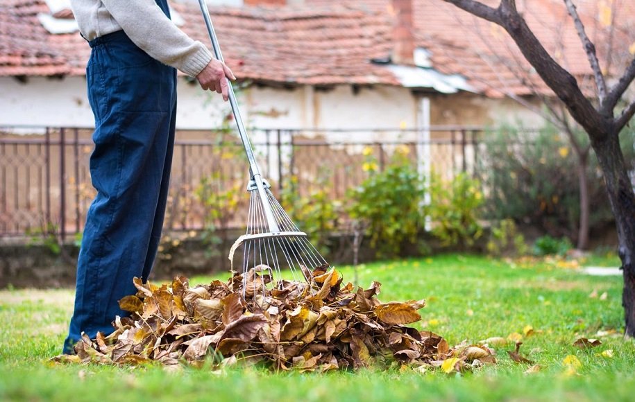 برای فعال ماندن در پاییز حیاط خانه را تمیز کنید