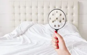 روش‌های از بین بردن ساس