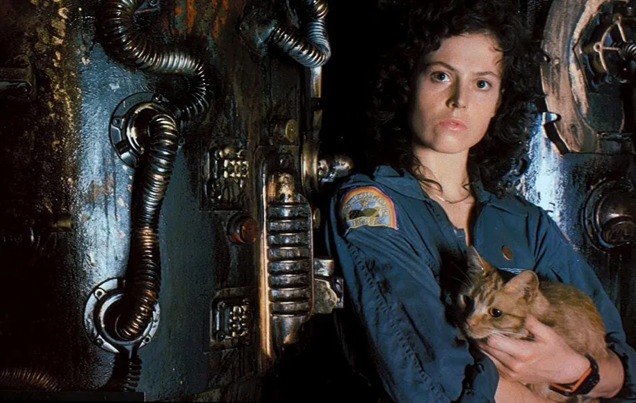 بیگانه، فیلمهای ترسناک دهه 1970