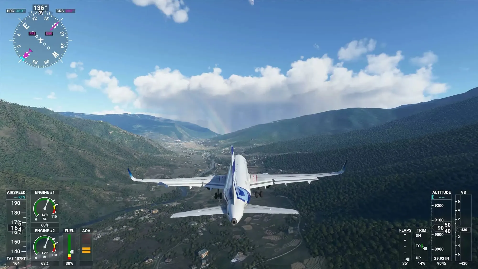 Microsoft Flight Simulator