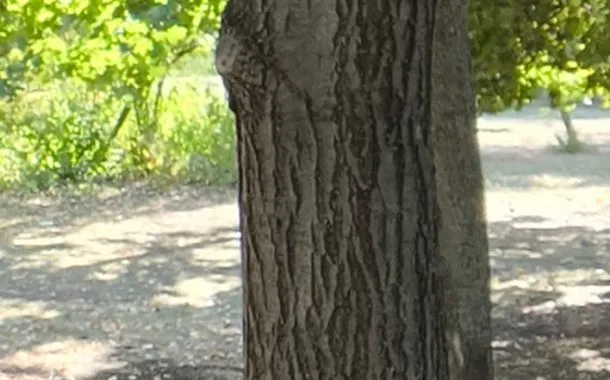 تصویر ثبت شده توسط دوربین سلفی - حالت عادی