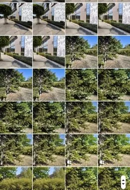 شیائومی 13T و 13T پرو