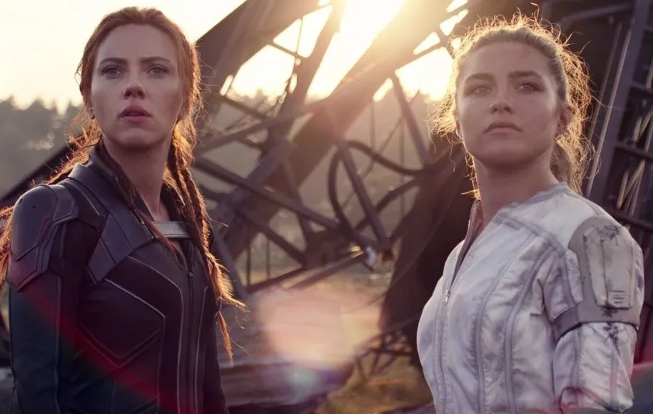 آینده بیوه سیاه