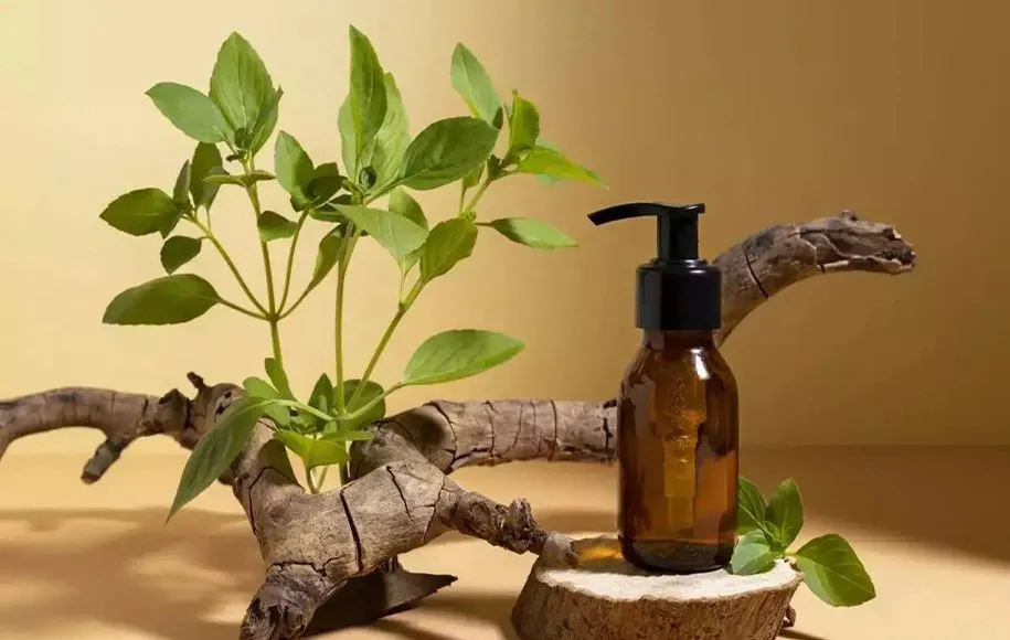 روغن درخت چای برای پوست