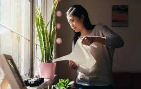 گیاهان مقاوم آپارتمانی