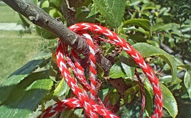 ریلمی 11 پرو پلاس