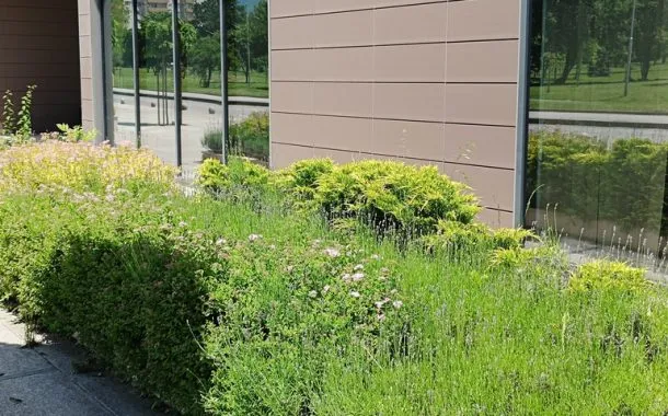 ریلمی 11 پرو پلاس