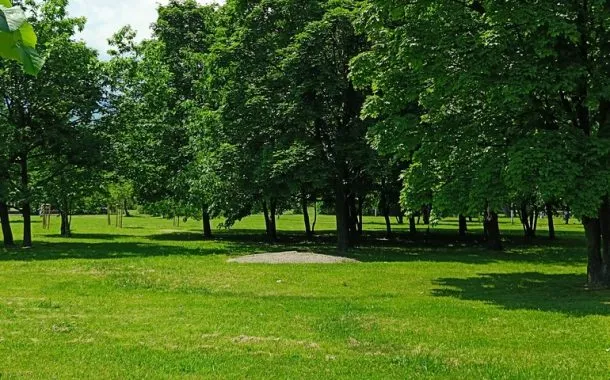 ریلمی 11 پرو پلاس